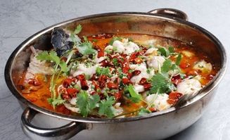 魚賜加盟費與餐飲管理解析