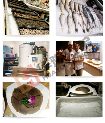 高效餐飲管理利器 200公斤海鮮保鮮片冰機(jī)的應(yīng)用與價(jià)值